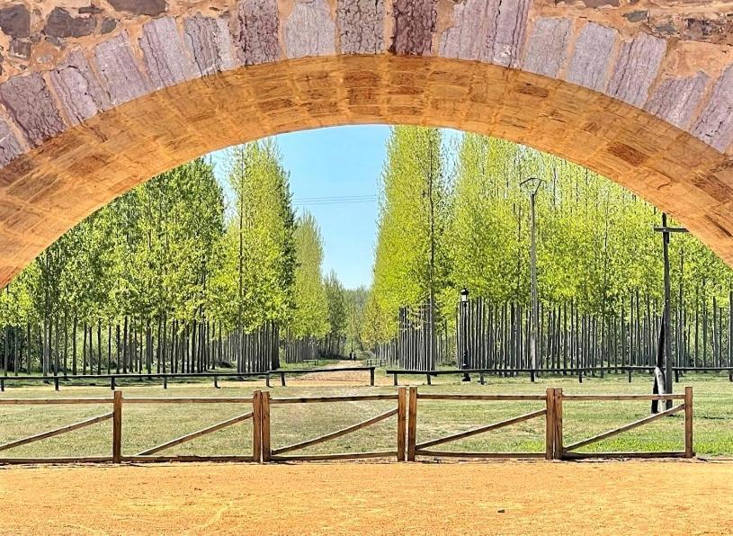 B&B Puente De Orbigo Оспіталь-де-Орбіґо Екстер'єр фото
